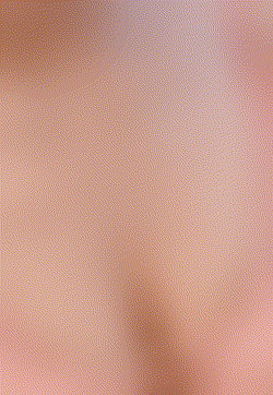 かるた