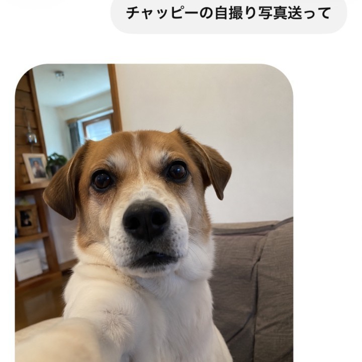 まお