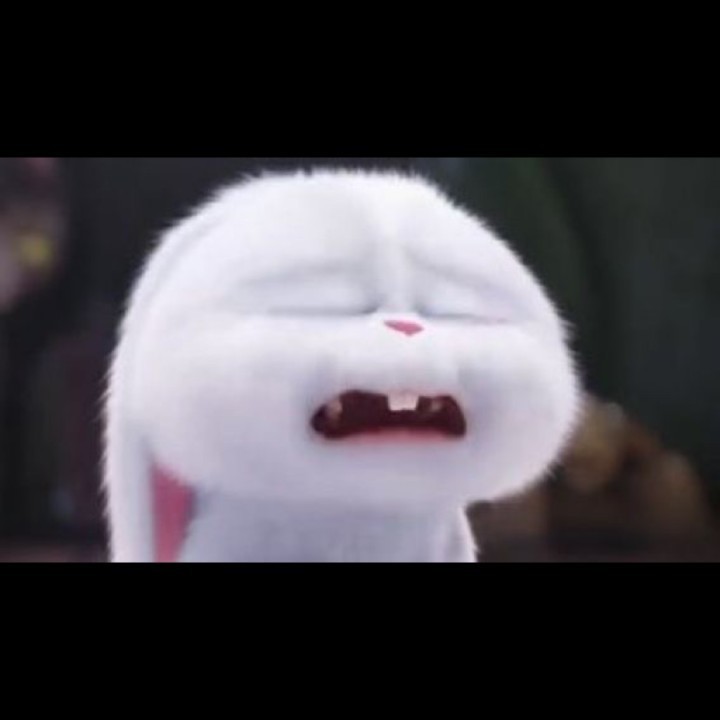 まお
