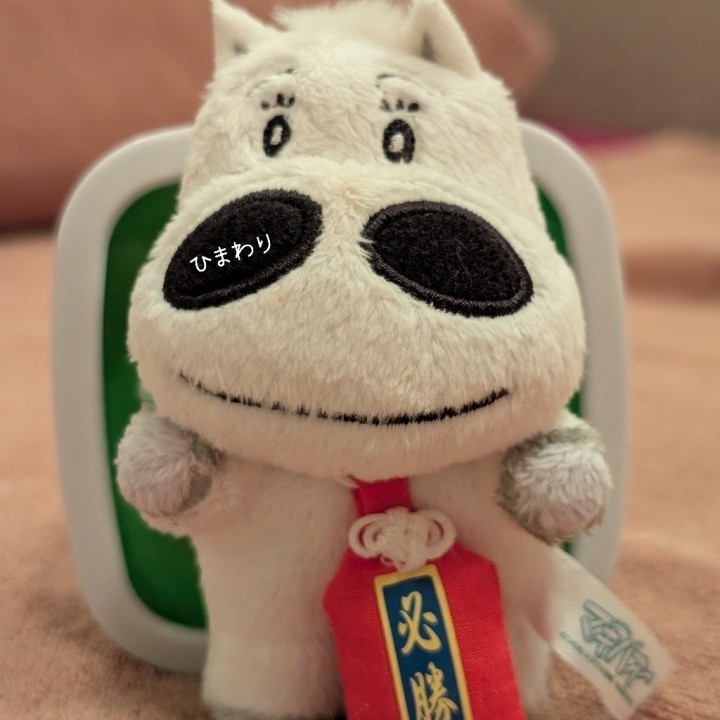 ひまわり