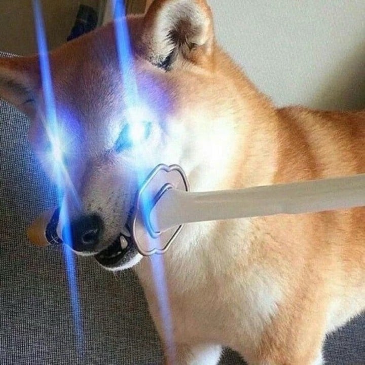 あゆむ