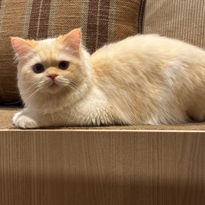 みお