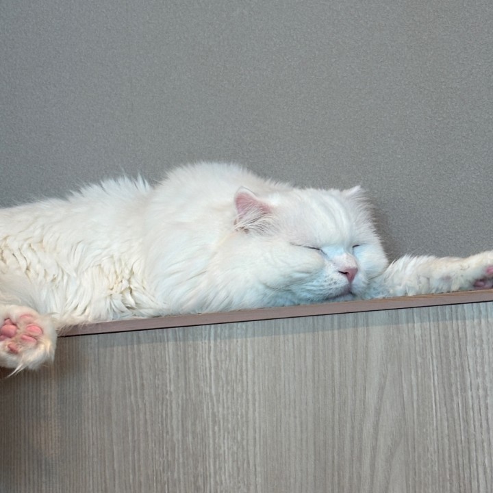 みお