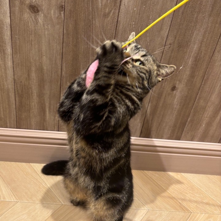 みお
