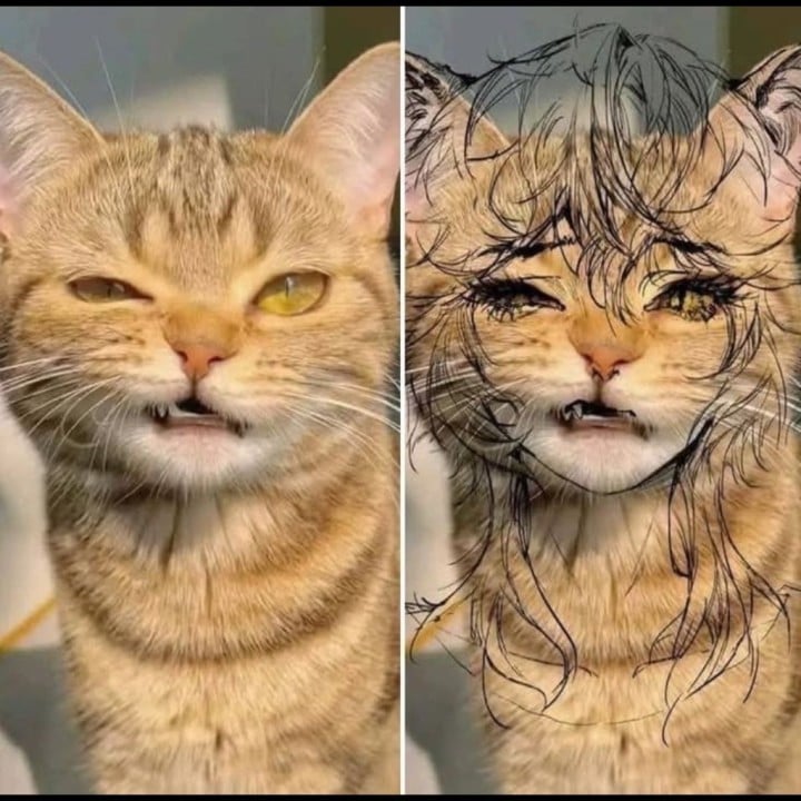 あゆむ