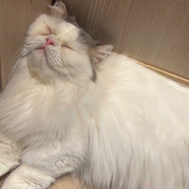みお