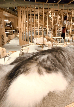 みお
