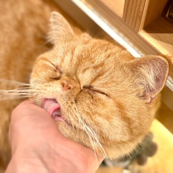 みお