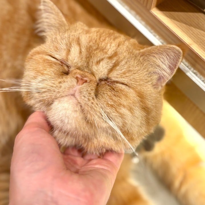 みお