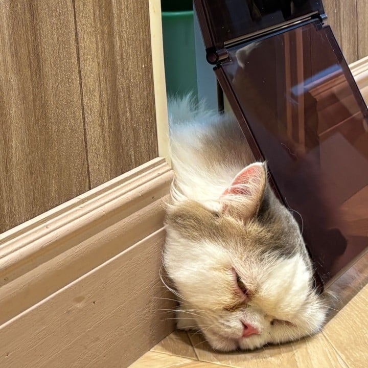 みお