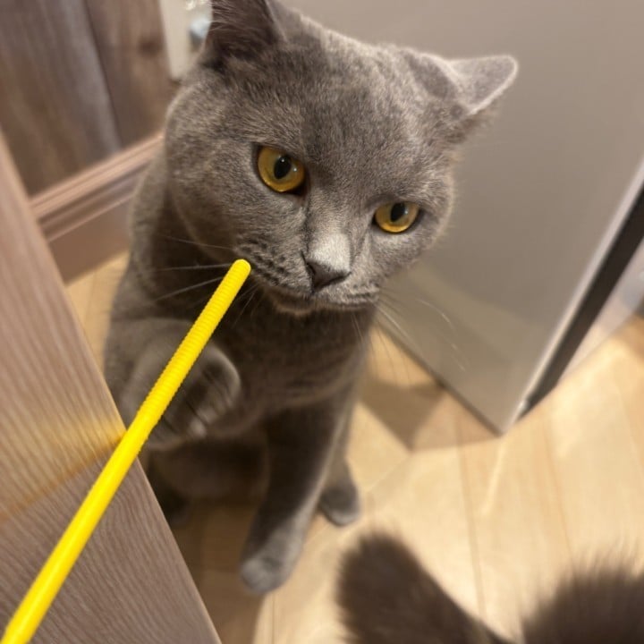 みお