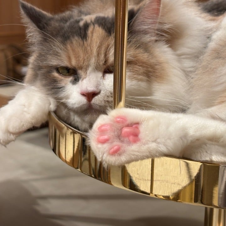 みお