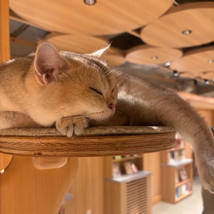 みお