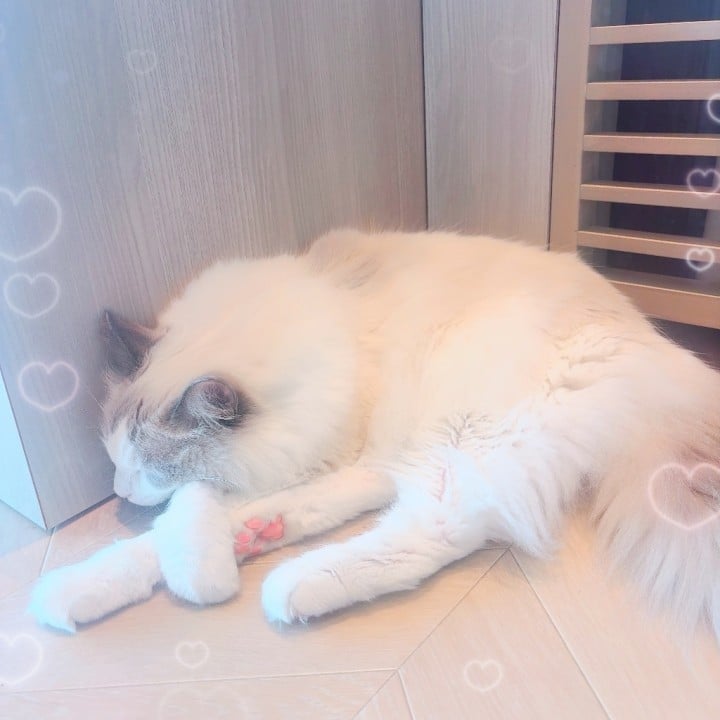 いぶき