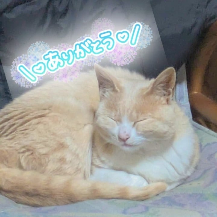 うみ