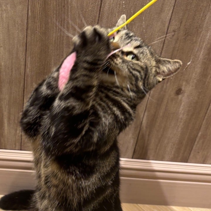 みお