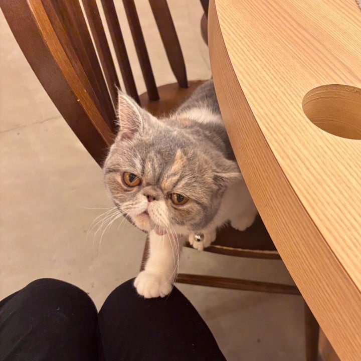 みお