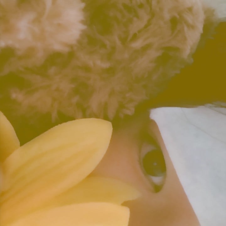 ふみの