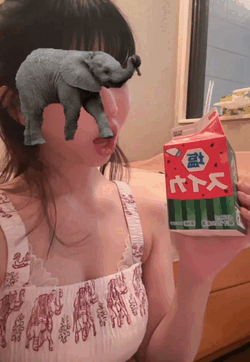 杏仁(あんにん)