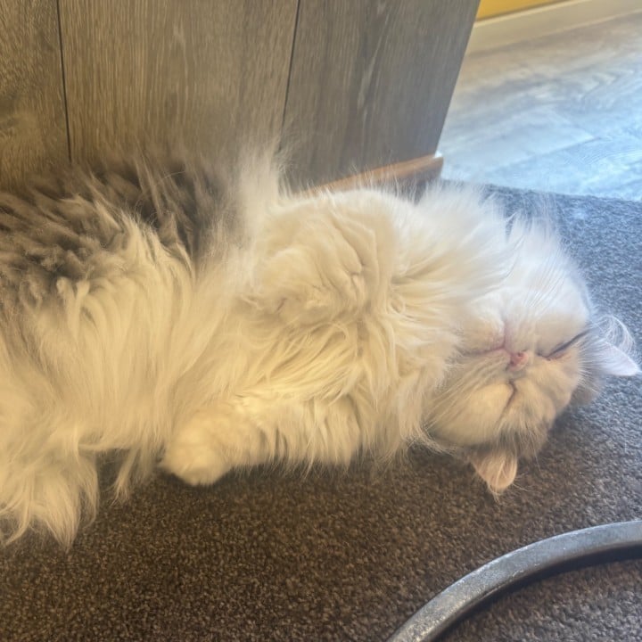みお