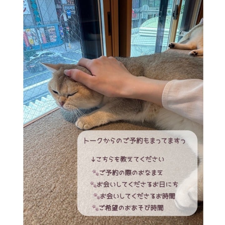 みお