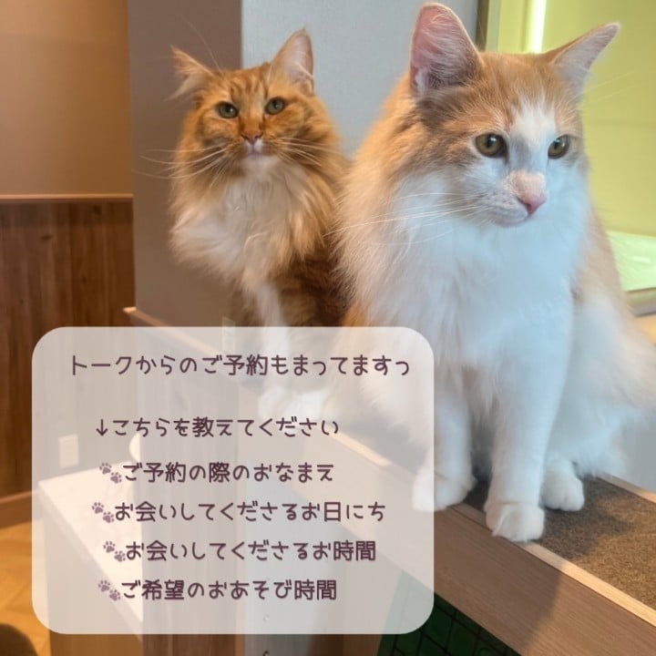 みお
