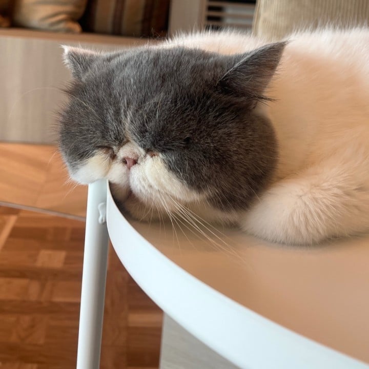 みお