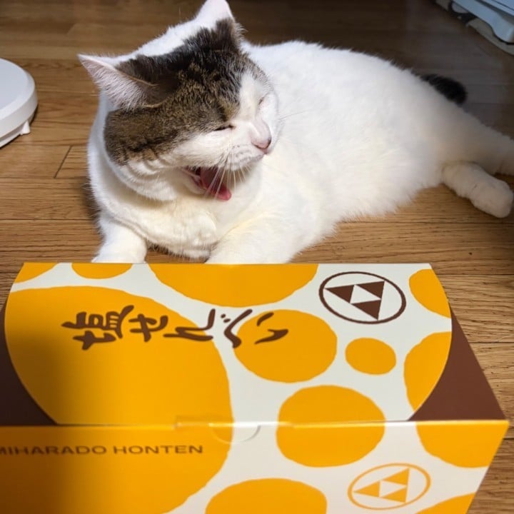 とうか