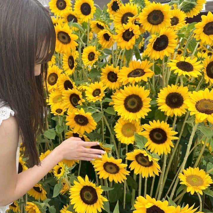 つきの