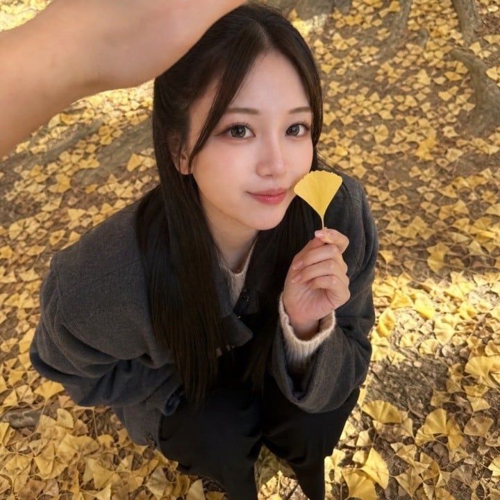 めいさ